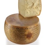 GRANA PADANO DOP CN903 OTT'23 